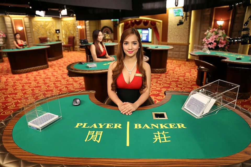 Casinos vencedor baccarat 35421